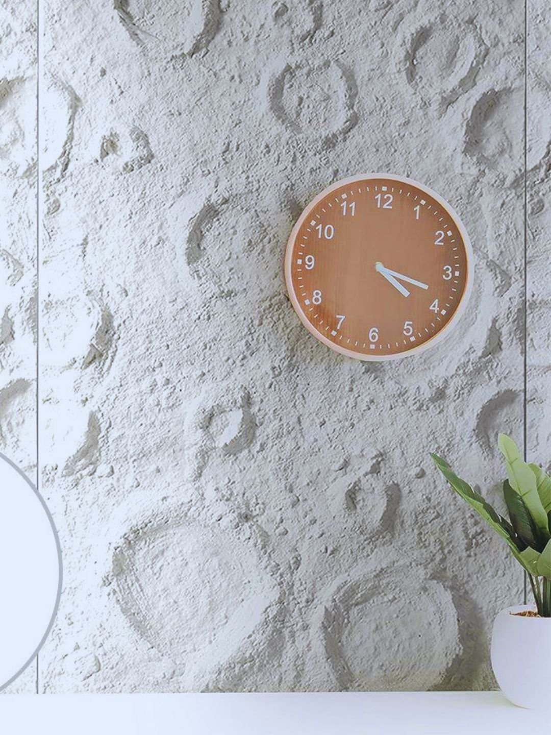 puveneer.com Client Project Sample