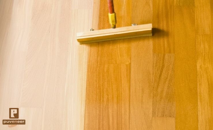 Pros, Cons & Real-World Performance